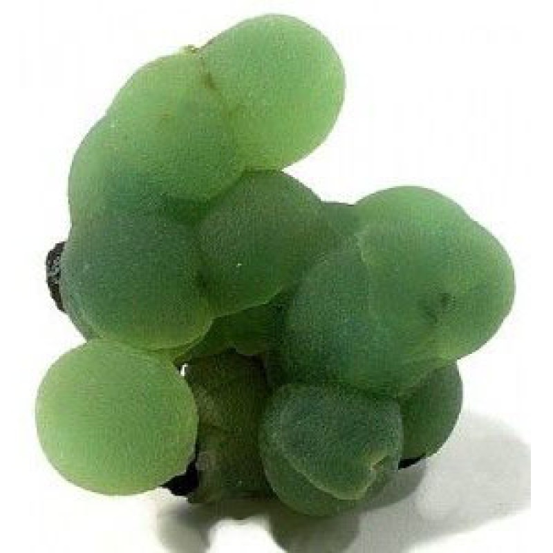 prehnite